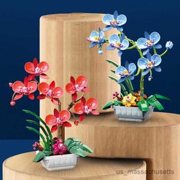 Blocks Mini Potted Flower Building Blocks Diy Creative Phalaenopsis Green Plant Bonsai Home Decoration Children's Educational Toy Gift R230817