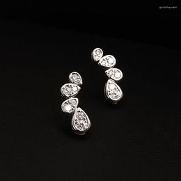 Dangle Earrings Smart Shiny Zircon Waterdrop Pendant Gorgeous Women Delicate Fine Jewellery