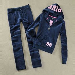 Women's Two Piece Pants Spring Fall 2021 PINK Women's Brand Velvet fabric Tracksuits Velour suit women Track suit Hoodies and Pants SIZE S XL J230816