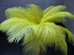 Quality beautiful ostrich feathers 25-30cm for Wedding centerpiece Table centerpieces Party Decoraction supply