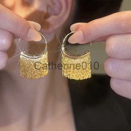 Charm Fashion Long Metal Chain BlStatement Gold Colour Tassel Earrings for Women WeddDaily Hot SellJewelry Pendant Gift J230817