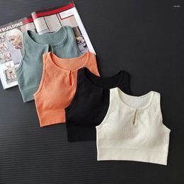 Yoga Outfit Seamless V-neck Sports Bra For Women Fitness Underwear Gym Shockproof Running Vest Breathable Sexy Padded Crop Top Bralette