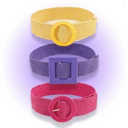 Belts Fashion Boho Women Straw Braided Belt Colorful PP Weave Elastic Beach Style Wide Summer Dress Decoration Y2K