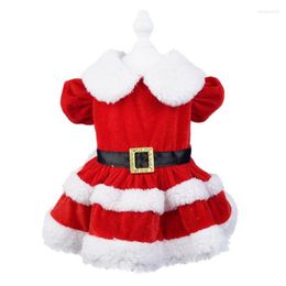 Cat Costumes Winter Autumn Cosplay Santa Pet Dress Skirt Christmas Party For