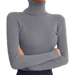 Women's Sweaters Turtleneck High Collar Pullover Sweater Basic Shirt Slim Winter Jumper Tops For Women Girls