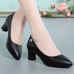 Genuine Designer Box Original Leather High Heels Womens S Pumps Lady Shoes Cm Heel Fashion Business Women Dress Suits Office Gowns Dresses S Uits Es 995 Uit E