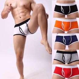 Underpants Cotton Men's Panties Sexy Boxers Underwear Men Boxershorts Breathable Male Underpant Briefs Bulge Pouch Boxer