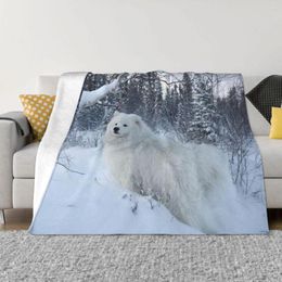 Blankets Samoyed Dog Plaid Blanket Coral Fleece Plush Spring/Autumn Cartoon Cute Pet Super Soft Throw For Sofa Couch Rug Piece