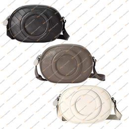 Ladies Fashion Casual Designe Luxury Blondie Bag Shoulder Bags Tote Handbag Crossbody Messenger Bag TOP Mirror Quality 760175 Pouch Purse