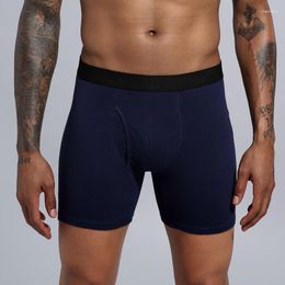 Underpants Underpanties Male Underwear Men's Clothing Boxer Shorts Cotton Man Panties Boxershorts Sets Para Hombre
