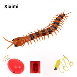 Electric RC Animals Infrared USB Remote Control Centipede Electric Toys Childrens Halloween Jewelry Props 230818