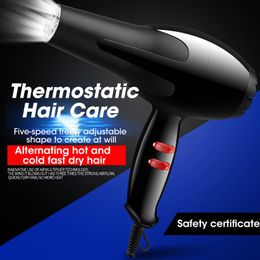 Dryers Professional Hair Dryer 220V EU Plug Blow Dryer For Home Travel Hairdryer Hot Cold Wind For Hair Salon Pet Dryer Hair Style Tool