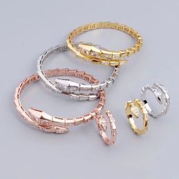 Spirit Snake Popular Necklace Bracelet Earrings Luxury Smooth Face Snake Bone Shaped Interiors Ins Popular Advanced Fashion Versatile Gift