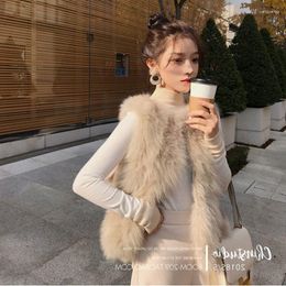 Women's Fur Female Faux Vest Women Sleeveless Outerwear Multi-size Short Waistcoat Autumn Winter Vintage Tops T147