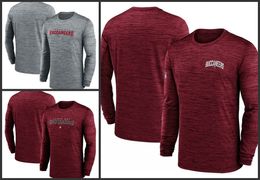 Tampa''Bay''Buccaneers''Men Heather Grey Sideline Team Velocity Performance Long Sleeve T-Shirt