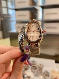 Women's Quartz Movement Watch Case mit Präzisions -Stahl -Serpen -Armband und Uhr. Eine maßgeschneiderte, schlangenförmige Uhr mit exquisiten und einzigartigen Designuhren