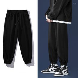 Men's Pants Autumn And Winter Light Grey Black Korean Fashion Sweatpants Loose Casual Wide Leg Straight Tie Men