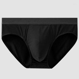 Underpants Men's Triangle Underwear Breathable