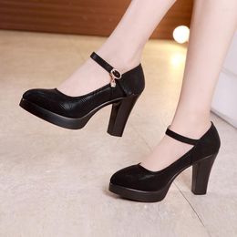 Dress Shoes 6 8 10cm Small Size 32-43 Shallow Block High Heels Women Mary Janes 2023 Fall Frosted Leather Platform Pumps Office Model