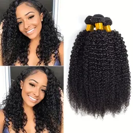 Kinky Curly Human Hair Bundles 100% Remy Human Hair Weave 8-30 Inches 12A Raw Wholesale Water Wave Tissage Extensions Natural