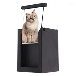 Dog Carrier Y5LE Pet Urn Memorial Box With Po Frame Wooden Cremation Urns For Cats