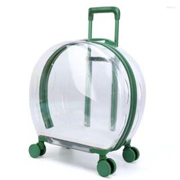 Cat Carriers Internet Celebrity Pet Transparent Suitcase Push Pull Box Dog Rod Super Breathable Large Capacity Portable