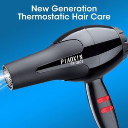 Ds Dryers Professional Salon Anion Hot Cold Wind Blow Hairdryer for Home Travel Hair Style Tool Pet Dryer