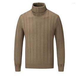 Men's Sweaters Casual Slim Fit Basic Turtleneck Stripe Knitted Sweater High Collar Pullover Male Double Autumn Winter Tops