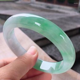 Link Bracelets Send Certificate Genuine Burmese Green Jade Bangle Women Fine Jewelry Burma Jadeite Real Jades Bangles Ladies Gift