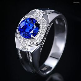Cluster Rings Royal Blue Zircon Sapphire Gemstones Diamonds Men 18k White Gold Silver Color Fine Jewelry Bague Bands Trendy Accessories