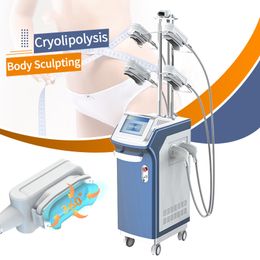 Free shipment Cryolipolysis cryo body slimming machine fat freeze machine CE Certificate Video manual