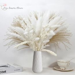 Dried Flowers 80pcs Pampas Grass Natural Bouquet Ruscus For Boho Home Decor Fluffy Rabbit Tail Wedding Arrangement Decorations 230818