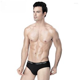 Underpants 4Pcs/Lot Men's Underwear Male Solid Briefs Milk Silk Panties Bikini Pant Loose Breathable Sexy Plus L-5XL Shorts