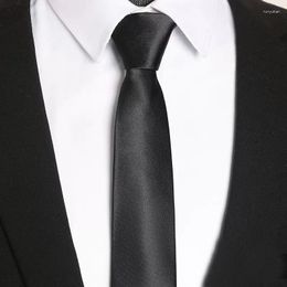 Bow Ties Men's 100 Silk Tie Cravat Blue Black Solid Neckerchief Burgundy Necktie Business Casual High Density Waterproof
