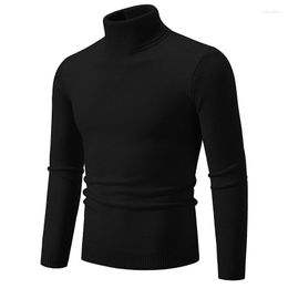 Men's Sweaters Autumn Winter Warm Classic Solid Turtleneck White Black Slim Knitted Pullovers USA XS-L