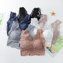 Camisoles & Tanks Sexy Lace Tube Top Gathering With Chest Pad Women Bra Breathable Shockproof No Rims For Crop Lingerie