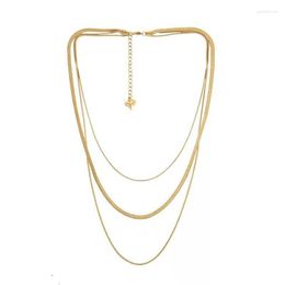 Chains Titanium With 18K Gold Sanke Chain Necklaces Women Stainless Steel Jewellery Designer T Show Runway Rare INS Japan Korean
