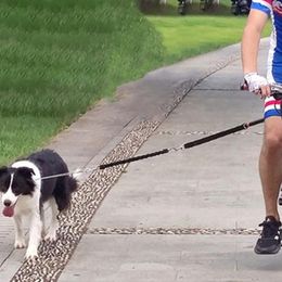 Dog Carrier 1 Set Of Bike Riding Leash Wear-resistant Retractable Bicycle