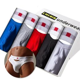 Underpants 5PCS Cotton Sexy Gay Men Underwear Bikini Briefs Soft Mens Shorts Panties BS3517 230822