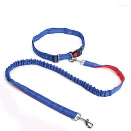 Dog Collars 1Pcs Nylon Training Leashes Pet Supplies Walking Harness Collar Lead Rope For Dogs Cat