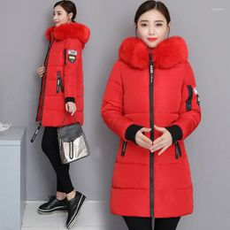 Women's Down Nice Parka Women Winter Jacket Coat Mid-length Hooded Outwear Female Parkas Thick Cotton Padded Basic