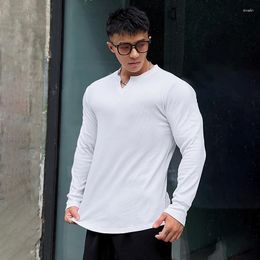 Men's T Shirts 2023 Solid Colour V-neck Fitness Cotton Long-sleeved High Elastic Slim T-shirt Sports Running Training Quick-drying Tights