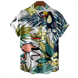 Men's Casual Shirts Hawaiian Beach Shirt Oversized Short Sleeve Fresh Style Anime Bird Pattern Dazn Summer Fashion