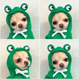 Dog Apparel Autumn Fashion Hoodies Winter Warm Clothes Cute Pattern Cat Sweatshirt Soft Puppy Pullover Chihuahua Pet