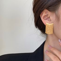 Luxury Currents Earrings Female Niche Design Sense Is Simple and Temperamental Elegant High -level Sensor Earrings Ear Decoration