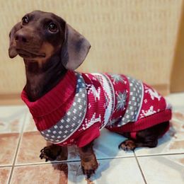 Dog Apparel Cute Pet Dog Sweater for Small Dogs Winter Warm Puppy Cat Clothes Dachshund Pullover Mascotas Costume Clothing roupa cachorro 230821