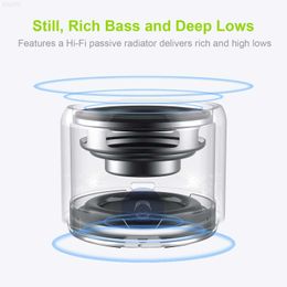 EWA IP67 Outdoors Waterproof Speaker Portable Wireless Bluetooth 5.0 Carry Case Bass Radiator USB Btooth Speakers MetalG230524 L230822