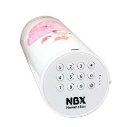 Learning Toys NBX Coded Lock Password Pencil Case Rabbit Cat Pen Holder Large Capacity Stationery Box Home Office School Storage Pencilcase