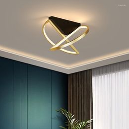 Ceiling Lights Decorative Lamp Indoor Lighting Living Room Led Fixture