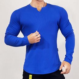 Men's T Shirts Casual V-Neck Solid Tees Men Long Sleeves Pullover Colorfast Autumn Trendy Oversized Tops Clothes Streetwear